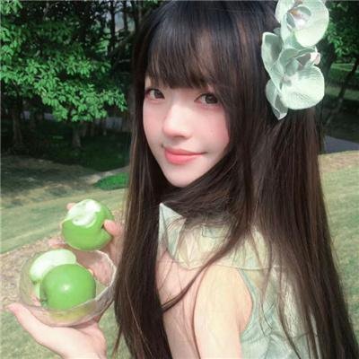 新灵犬莱西